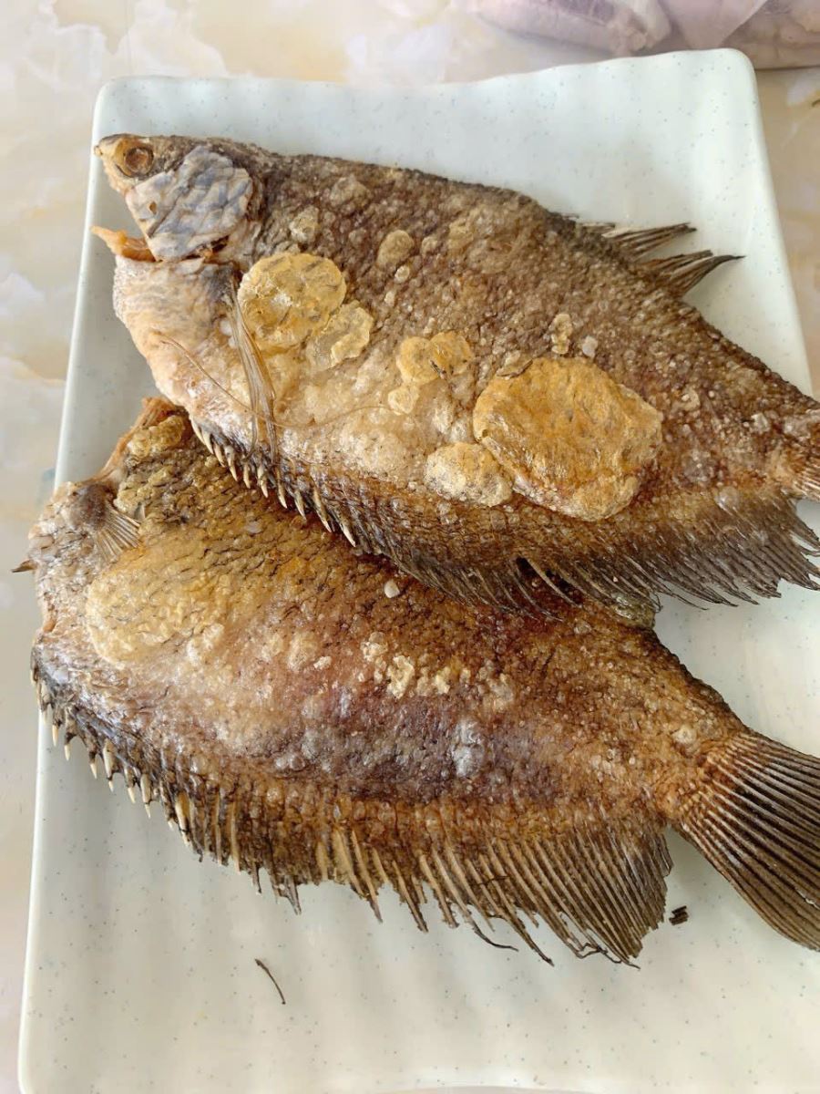 Gỏi rau sầu đâu