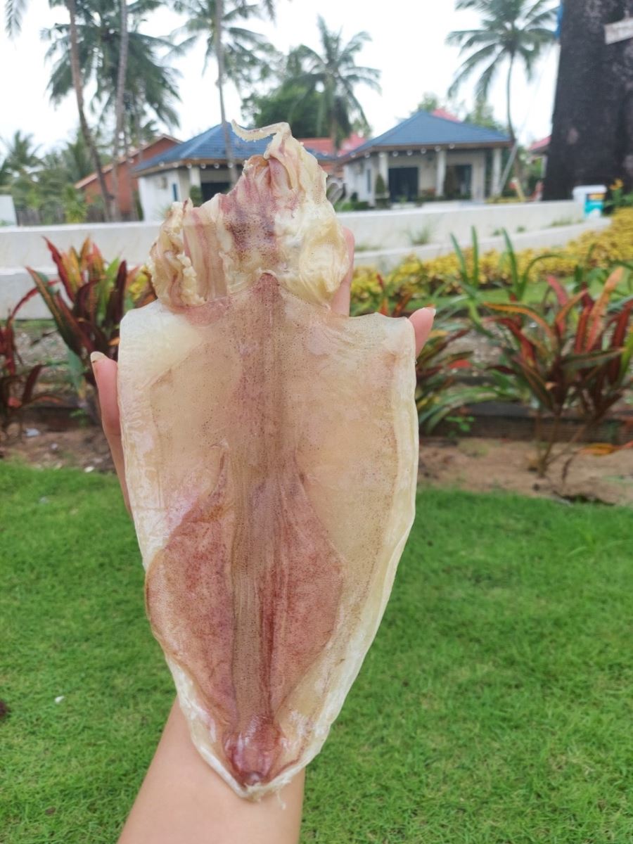Khô mực câu size 27-30 con 1kg