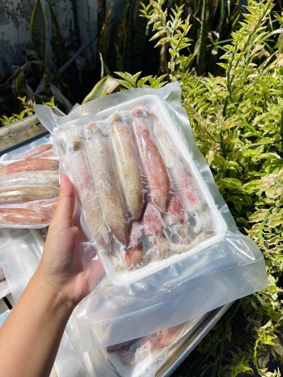 Mực ống câu
