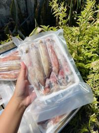 Mực Ống Câu Sie 14-16 Con/1kg